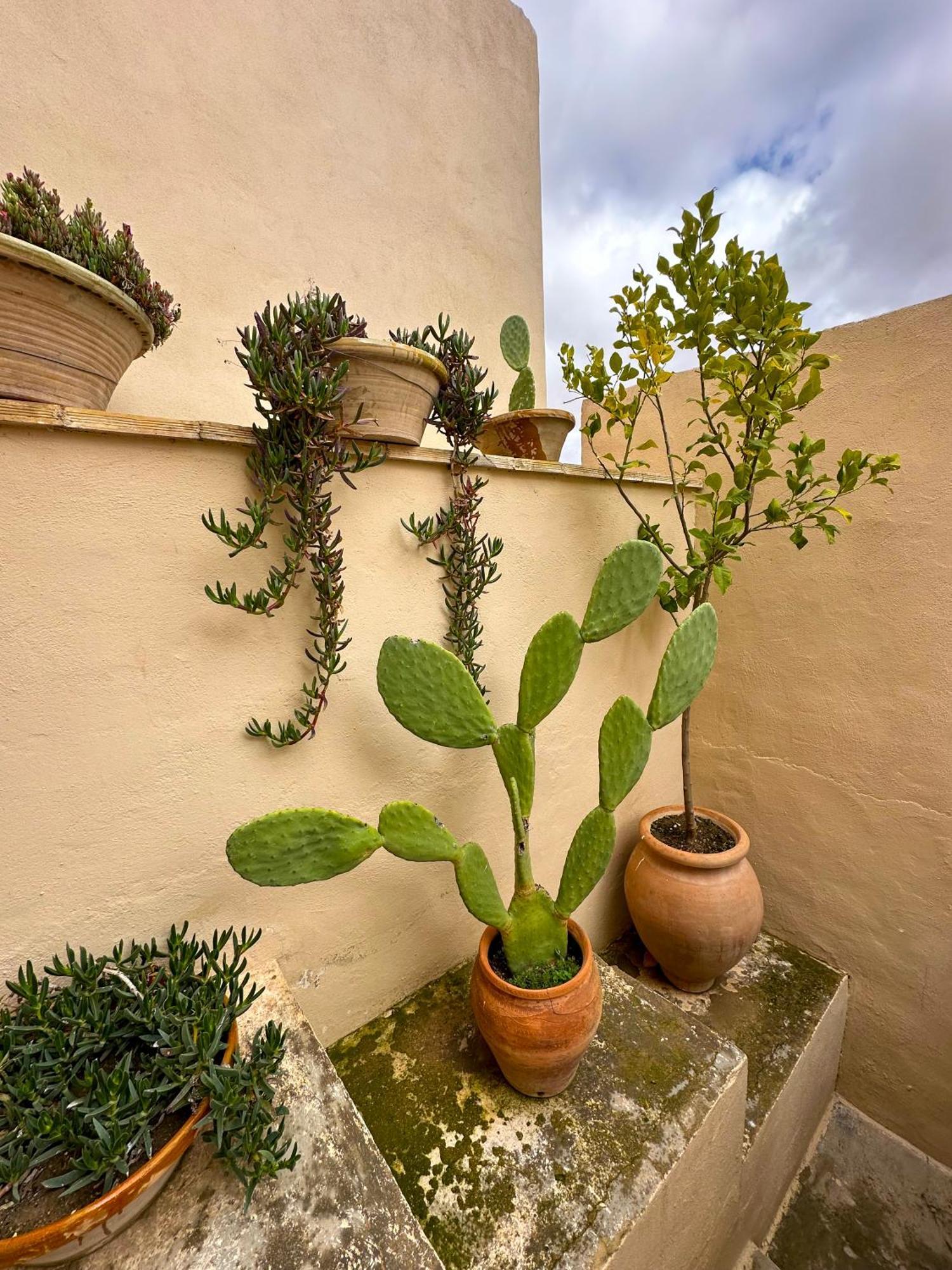 Casa Rural Del Juez Alcala del Jucar Exterior foto